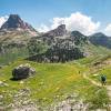 Pic du Midi d'Ossau en arrire plan