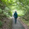 Randonnée dans la forêt au Danemark