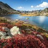 Les couleurs de l'automne au lac Blanc dans les Pyrénées