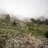Après les pelouses, les rochers font leur apparition mais je rentre dans le brouillard
