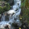 Ruisseau d'Asteuil