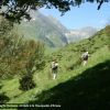Massif de l'Arbizon