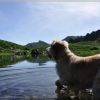 Le lac de Bassias