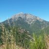 Monte d'Oro