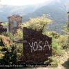 Yosa