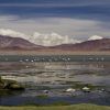 Salar de Tara