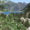 Sorbier au dessus du lac de Gaube