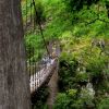 Passerelle d'Holzart 5