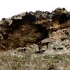Taffonis grseuses