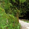 Gorges de Kakuetta