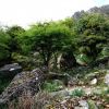 Source sur le flanc de l'Atxuria
