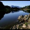 Rives du lac Achard