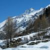 Balade dans le parc du Gran Paradiso 9