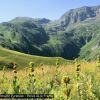 Valle de la Frche