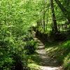 Le sentier