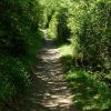 Sentier VTT