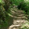 Toujours le sentier