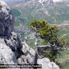 Formigal depuis la Foratata