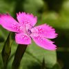 Macro 2009 - 10