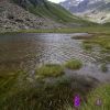 Lac de Cestrde