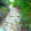 Chemin de la Chapelle ST SER