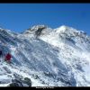 pique d'estats