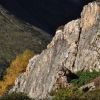 En descendant la valle du Bastan