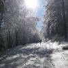 départ col du Minier
