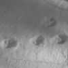 traces de lapin