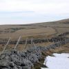 Sur l'Aubrac