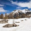 Mont Pelat depuis le lac d'Allos