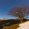 Plateau de Sornin