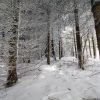 Neige en fort sur le plateau de l'Aubrac