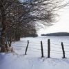 Neige sur le plateau de l'Aubrac