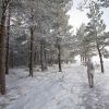 Randonne pdestre sur le plateau de l'Aubrac