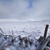 Neige et vent sur le plateau de l'Aubrac