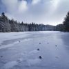 Randonne pdestre sur le plateau de l'Aubrac