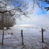 Paysage blanc au plateau de l'Aubrac