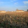 Randonne  Saint Emilion