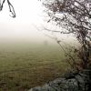 Randonne en Aubrac Saint Chly d'Aubrac AVEYRON