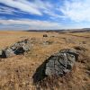 Randonne dans l'Aubrac