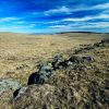 Terres d'Aubrac