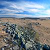 Paysages d'Aubrac