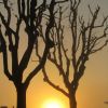 Lever de soleil sur Rodez, randonne balade du tour de Layoule