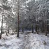 Randonne en Aubrac avec la neige