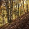 Couleurs d'automne