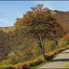 Route qui monte au col d'Aspin
