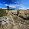 Randonne en Aubrac