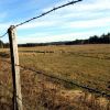 Randonne Aumont Aubrac en Lozre