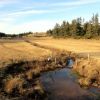 Randonne Aubrac en Lozre